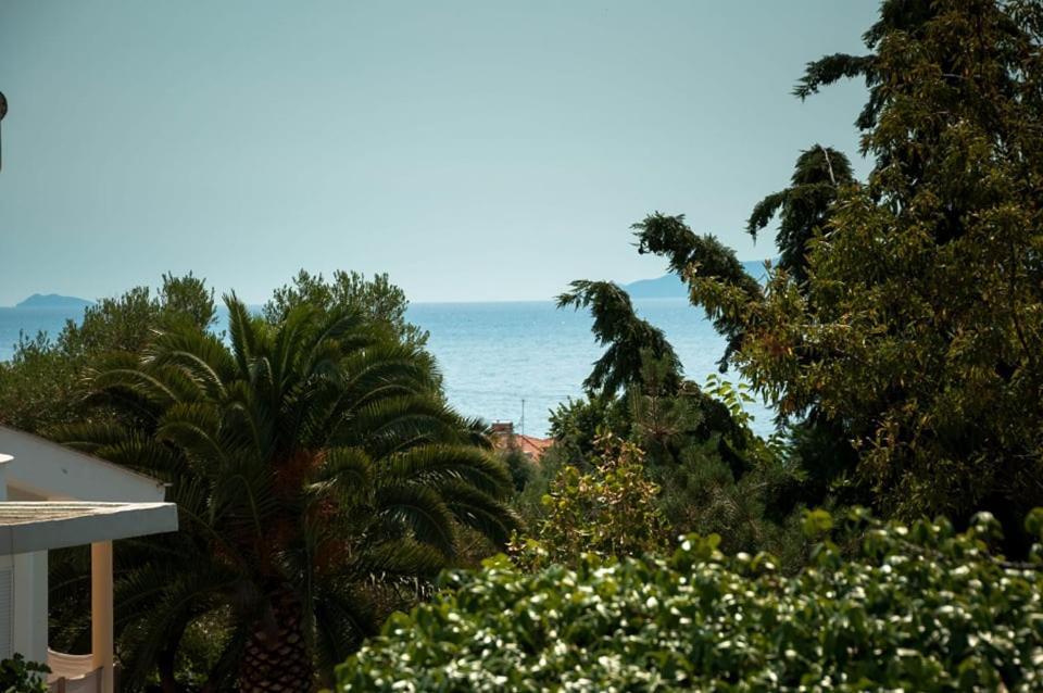 Villa Calypso Palaiontsiflikion Luaran gambar